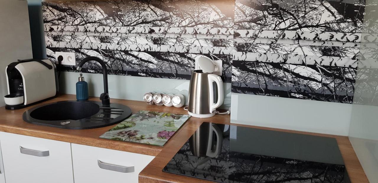 Apartament Centrum Ченстохова Экстерьер фото